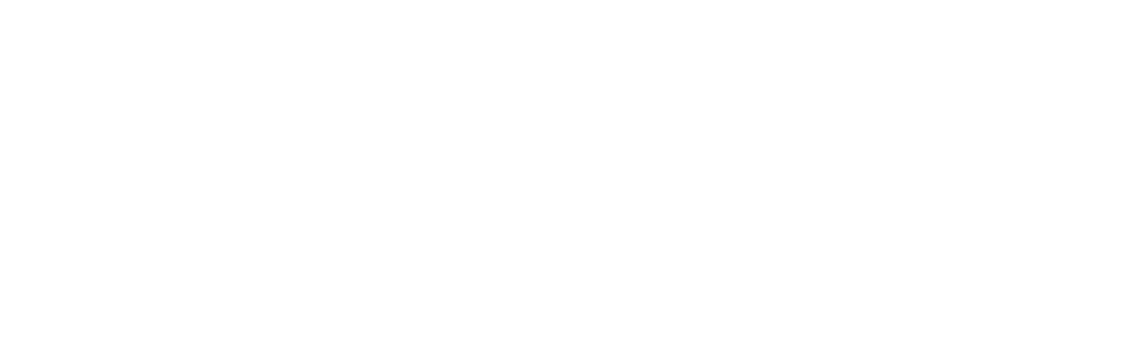 Weboin Logo
